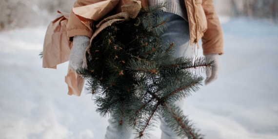 The Benefits of Artificial Christmas Trees for Thanksgiving Gatherings